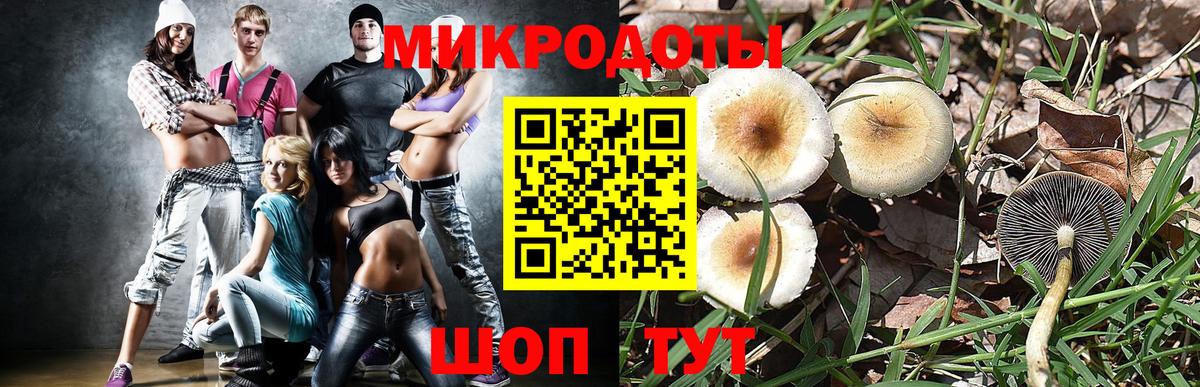 Галлюциногенные грибы GOLDEN TEACHER Обь