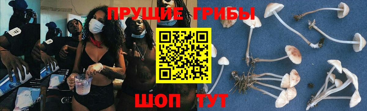 Галлюциногенные грибы Psilocybine cubensis  Галлюциногенные грибы Psilocybe  Вход с VPN  Обь 